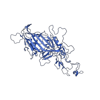 23204_7l6h_t_v1-1
The genome-containing AAV13 capsid