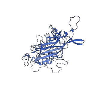 23204_7l6h_u_v1-0
The genome-containing AAV13 capsid