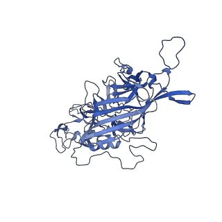 23204_7l6h_u_v1-1
The genome-containing AAV13 capsid