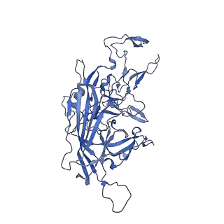 23204_7l6h_v_v1-1
The genome-containing AAV13 capsid