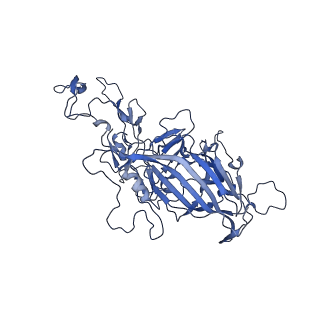 23204_7l6h_w_v1-1
The genome-containing AAV13 capsid