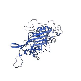 23204_7l6h_x_v1-1
The genome-containing AAV13 capsid