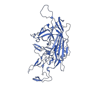 23204_7l6h_y_v1-1
The genome-containing AAV13 capsid