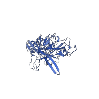 23204_7l6h_z_v1-1
The genome-containing AAV13 capsid