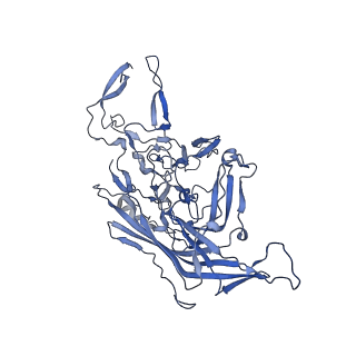 23205_7l6i_5_v1-1
The empty AAV13 capsid