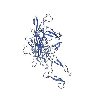 23205_7l6i_A_v1-1
The empty AAV13 capsid