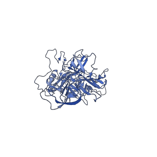 23205_7l6i_L_v1-1
The empty AAV13 capsid