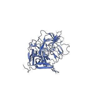 23205_7l6i_a_v1-1
The empty AAV13 capsid