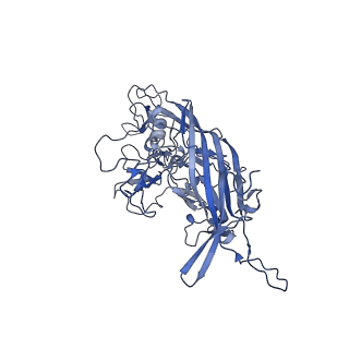 23205_7l6i_i_v1-1
The empty AAV13 capsid