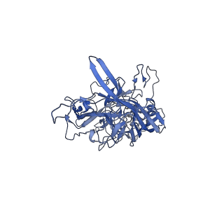 23205_7l6i_s_v1-1
The empty AAV13 capsid