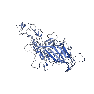 23205_7l6i_w_v1-1
The empty AAV13 capsid