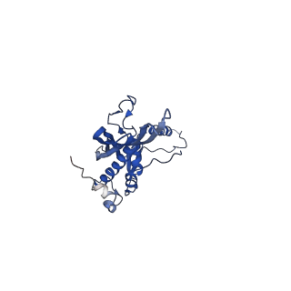 0842_6l7c_A_v1-2
CsgFG complex with substrate CsgAN6 peptide in Curli biogenesis system