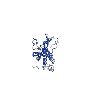 0842_6l7c_B_v1-2
CsgFG complex with substrate CsgAN6 peptide in Curli biogenesis system