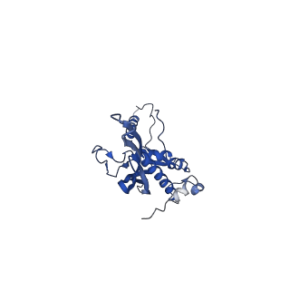 0842_6l7c_C_v1-2
CsgFG complex with substrate CsgAN6 peptide in Curli biogenesis system