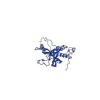 0842_6l7c_D_v1-2
CsgFG complex with substrate CsgAN6 peptide in Curli biogenesis system