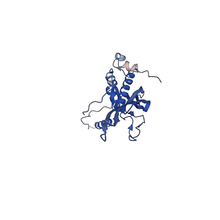 0842_6l7c_F_v1-2
CsgFG complex with substrate CsgAN6 peptide in Curli biogenesis system