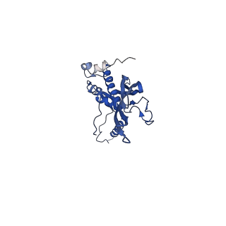 0842_6l7c_G_v1-2
CsgFG complex with substrate CsgAN6 peptide in Curli biogenesis system