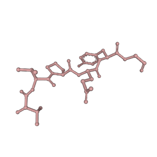 0842_6l7c_S_v1-2
CsgFG complex with substrate CsgAN6 peptide in Curli biogenesis system