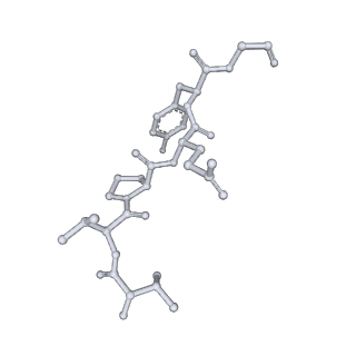 0842_6l7c_T_v1-2
CsgFG complex with substrate CsgAN6 peptide in Curli biogenesis system