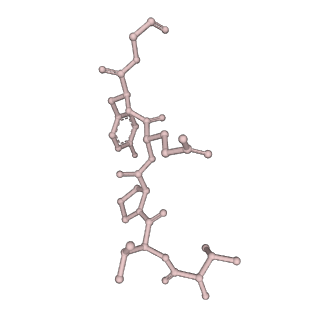 0842_6l7c_U_v1-1
CsgFG complex with substrate CsgAN6 peptide in Curli biogenesis system