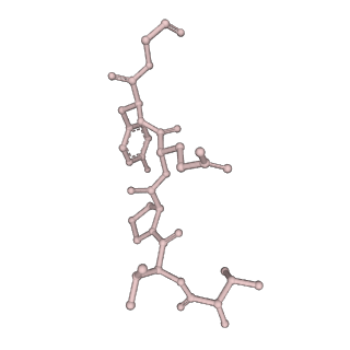 0842_6l7c_U_v1-2
CsgFG complex with substrate CsgAN6 peptide in Curli biogenesis system