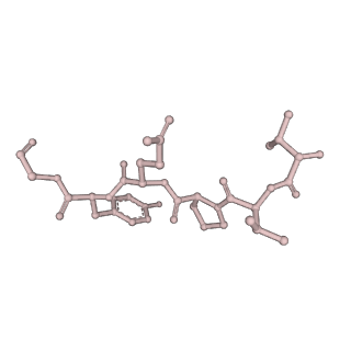 0842_6l7c_W_v1-2
CsgFG complex with substrate CsgAN6 peptide in Curli biogenesis system