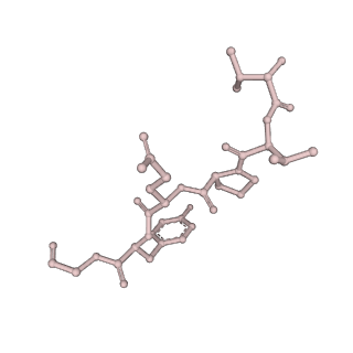 0842_6l7c_X_v1-2
CsgFG complex with substrate CsgAN6 peptide in Curli biogenesis system