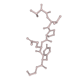 0842_6l7c_Y_v1-2
CsgFG complex with substrate CsgAN6 peptide in Curli biogenesis system