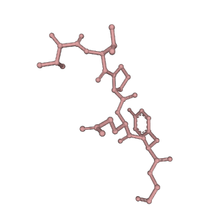 0842_6l7c_Z_v1-2
CsgFG complex with substrate CsgAN6 peptide in Curli biogenesis system