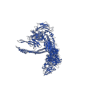 0843_6l7e_D_v1-1
Toxin Complex TcdA1-TcdB1-TccC2