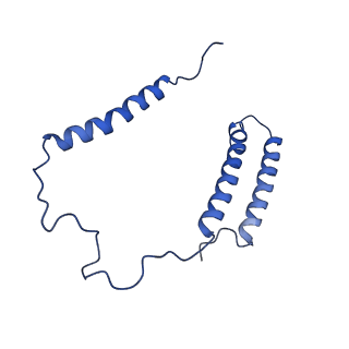 0849_6l7o_C_v1-1
cryo-EM structure of cyanobacteria Fd-NDH-1L complex