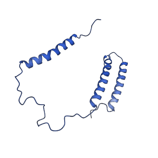 0849_6l7o_C_v2-0
cryo-EM structure of cyanobacteria Fd-NDH-1L complex