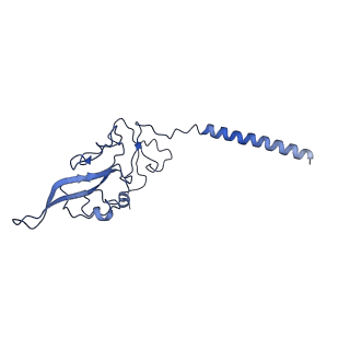 0849_6l7o_I_v1-1
cryo-EM structure of cyanobacteria Fd-NDH-1L complex