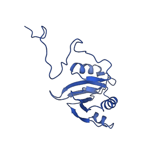0849_6l7o_J_v1-1
cryo-EM structure of cyanobacteria Fd-NDH-1L complex