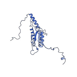 0849_6l7o_K_v1-1
cryo-EM structure of cyanobacteria Fd-NDH-1L complex