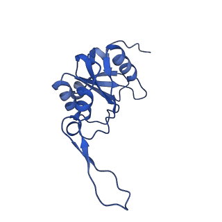 0849_6l7o_N_v1-1
cryo-EM structure of cyanobacteria Fd-NDH-1L complex