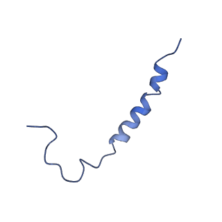 0849_6l7o_P_v1-1
cryo-EM structure of cyanobacteria Fd-NDH-1L complex