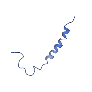 0849_6l7o_P_v2-0
cryo-EM structure of cyanobacteria Fd-NDH-1L complex