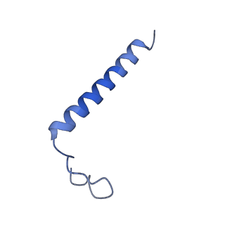 0849_6l7o_Q_v1-1
cryo-EM structure of cyanobacteria Fd-NDH-1L complex