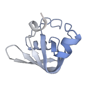 0849_6l7o_R_v1-1
cryo-EM structure of cyanobacteria Fd-NDH-1L complex
