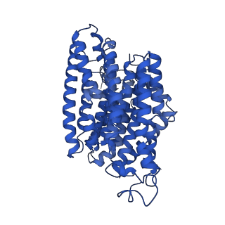 0850_6l7p_B_v1-1
cryo-EM structure of cyanobacteria NDH-1LdelV complex