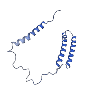 0850_6l7p_C_v1-1
cryo-EM structure of cyanobacteria NDH-1LdelV complex