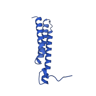 0850_6l7p_E_v1-1
cryo-EM structure of cyanobacteria NDH-1LdelV complex