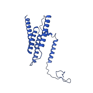 0850_6l7p_G_v1-1
cryo-EM structure of cyanobacteria NDH-1LdelV complex