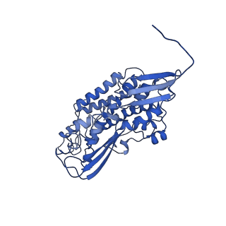 0850_6l7p_H_v1-1
cryo-EM structure of cyanobacteria NDH-1LdelV complex
