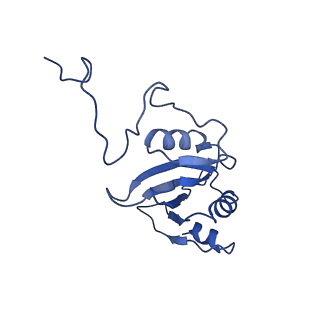0850_6l7p_J_v1-1
cryo-EM structure of cyanobacteria NDH-1LdelV complex
