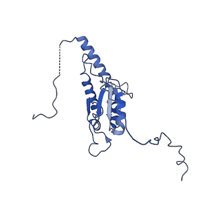 0850_6l7p_K_v1-1
cryo-EM structure of cyanobacteria NDH-1LdelV complex