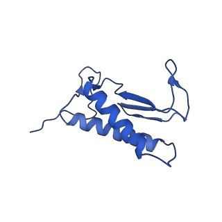 0850_6l7p_M_v1-1
cryo-EM structure of cyanobacteria NDH-1LdelV complex