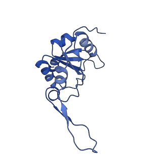 0850_6l7p_N_v1-1
cryo-EM structure of cyanobacteria NDH-1LdelV complex