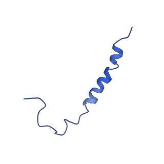 0850_6l7p_P_v1-1
cryo-EM structure of cyanobacteria NDH-1LdelV complex